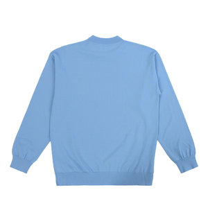 The Salvages 'Sublime' Knit Mockneck Pullover in Baby Blue